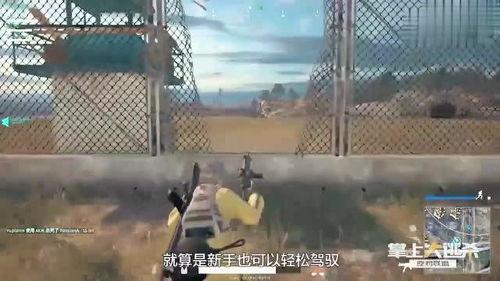 吃鸡武器爆料视频在哪看,最新视频观看指南