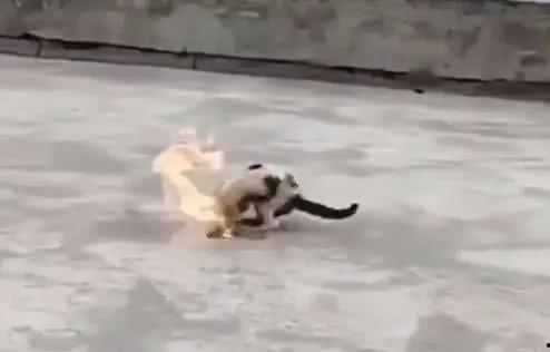 最新爆料虐待学生,最新爆料揭露教师虐待学生骇人真相  第3张