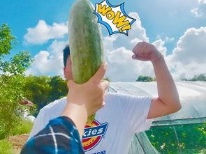 网红吃瓜醒脑,揭秘娱乐圈幕后真相，唤醒你的脑洞  第3张